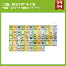 수업용_나트륨알기 자석57종