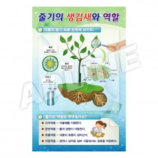 줄기의생김새와역할