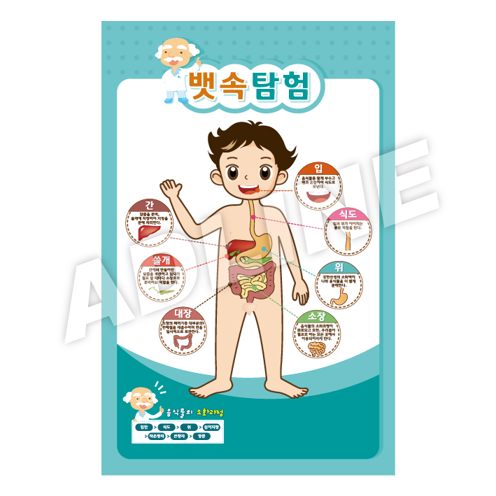 뱃속탐험