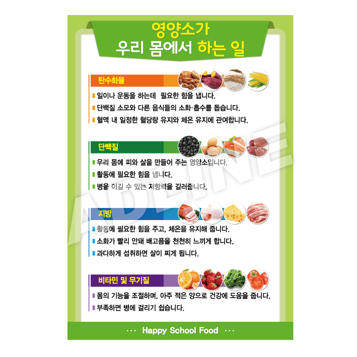 영양소가우리몸에서하는일-3